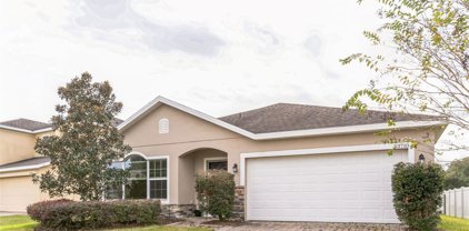 23710 Companero Drive, Sorrento