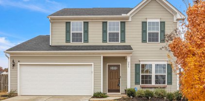 206 Picketts Mill Drive, Piedmont