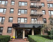 2 Birchwood Court Unit #3H, Mineola image