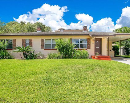 733 Delaney Park Drive, Orlando