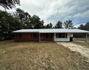 1035 Sonny Mixon Road, Slocomb image
