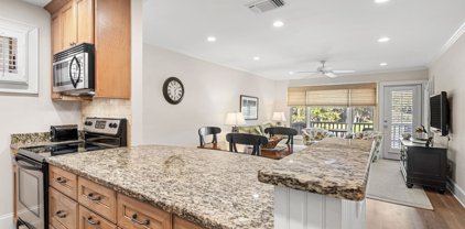 1380 Dunlin Court, Kiawah Island