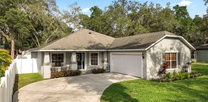 11717 Sycamore Place, Tampa