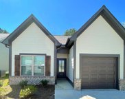 65 River Birch Lane, Odenville image