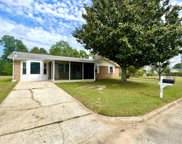 109 First Family, Headland image