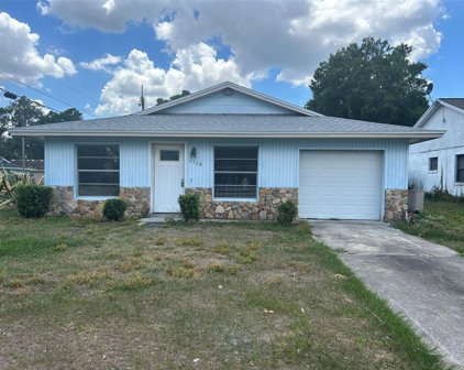 2528 Peel Avenue, Orlando