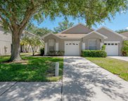 4347 Brooker Creek Drive, Palm Harbor image