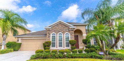 17357 Cypress Preserve Parkway, Orlando