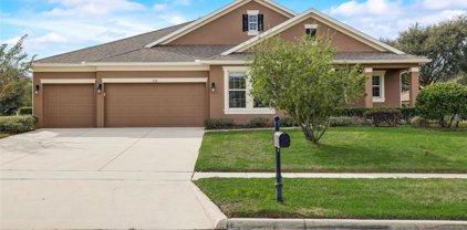 998 Rock Creek Street, Apopka