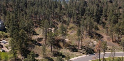 1993 Avenida Del Sol, Castle Rock