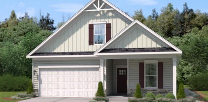 807 Spring Orchard Drive, Lyman