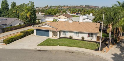 1044 Tabby Lane, Escondido