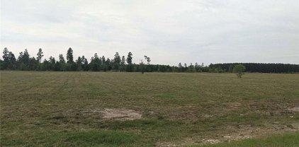 undisclosed NE LOBLOLLY Trail, Lee