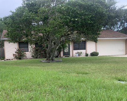 4335 Tomlinson Circle, Orlando