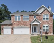 907 Palomino Path, High Ridge image