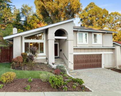 1231 Crestview DR, San Carlos