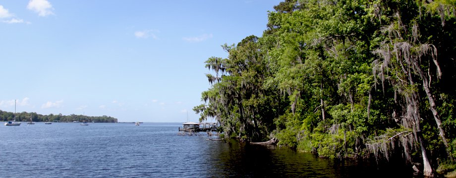 St John's River Real Estate