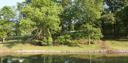 32105 Falcon Drive, Unionville
