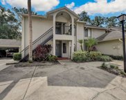 143 Crown Point Circle Unit 143, Longwood image