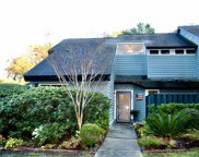 1168 Shadow Lake Circle, Mount Pleasant image