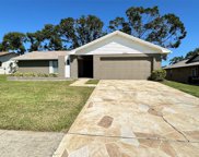 3063 E Dorchester Drive, Palm Harbor image