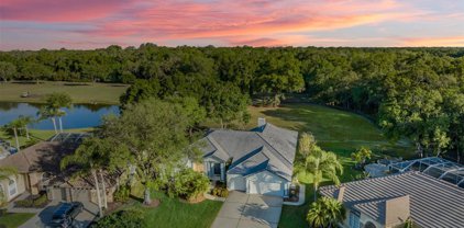 1856 Eau Claire Court, Oldsmar