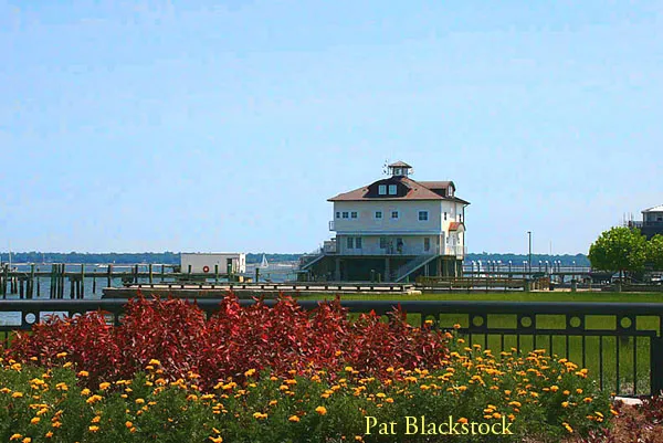 Waterfront Island Homes in Charleston