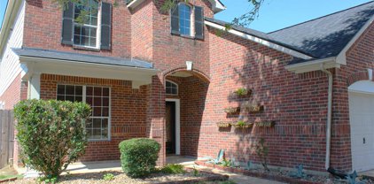 6519 Briar Moss Lane, Katy