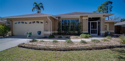 13761 Willow Bridge Drive, North Fort Myers
