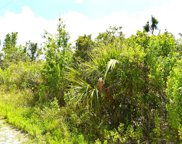 29045 Palm Shores Boulevard, Punta Gorda image