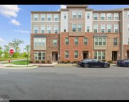 41445 Black Cherry Ter, Aldie image