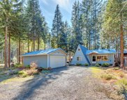 233 Mountain View Drive, Packwood image