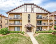 17960 Royal Oak Court Unit #2N, Tinley Park image