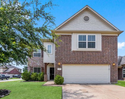 11403 Dahlia Dale Drive, Tomball