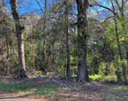 Lot 44-.473 Ac Riverside Drive, Dothan image