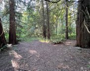 172nd Avenue SE, Kent image