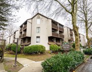 385 Ginger Drive Unit 312, New Westminster image