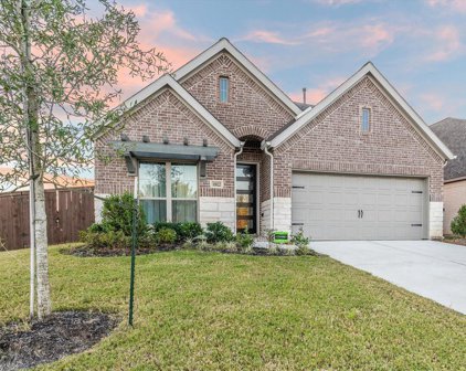 11822 Radura Road, Humble