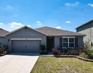 1880 Cassidy Knoll Drive, Kissimmee image