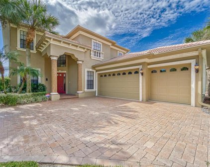 2230 Cypress Hollow Court, Safety Harbor