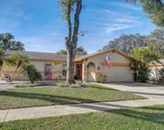 14022 Cherry Lake Drive, Tampa image