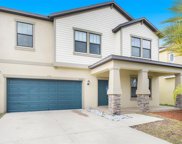 12223 Ballentrae Forest Drive, Riverview image