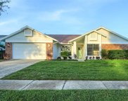 2808 Falling Leaves Drive, Valrico image