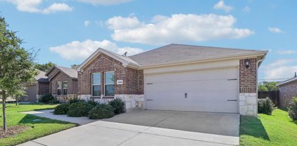 1232 Trevino  Road, Forney