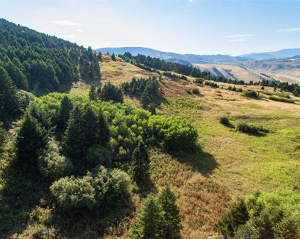TBD Coyote Drive Lot 53, Livingston
