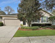15810 Starling Water Drive, Lithia image