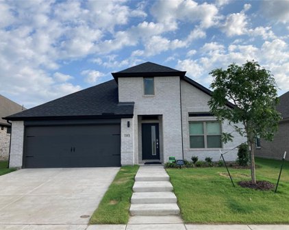 2413 Spring Side  Drive, Royse City