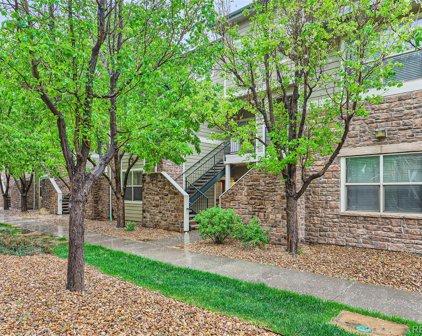 5800 N Tower Road Unit 2403, Denver