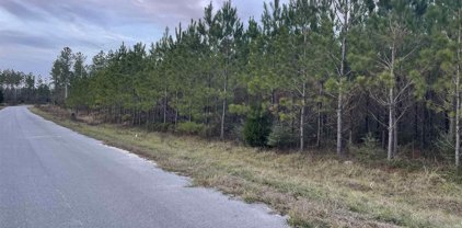 Lot 52 Sage Forest Ln, Pace