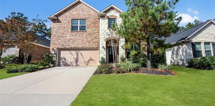 123 Cobble Medley Court, Willis